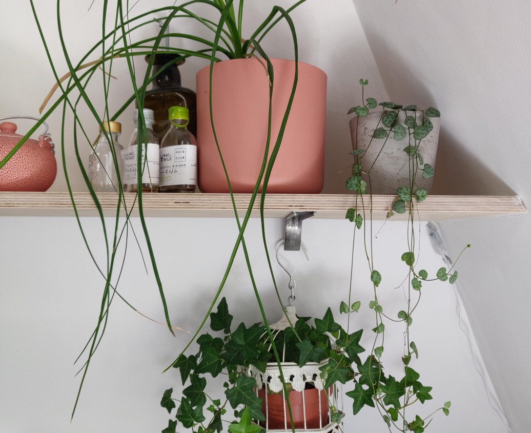 camberwell 3 bespoke shelves